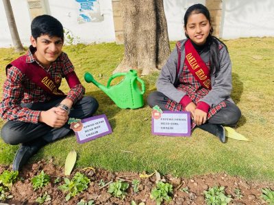 Snapshots of Fun & Learning